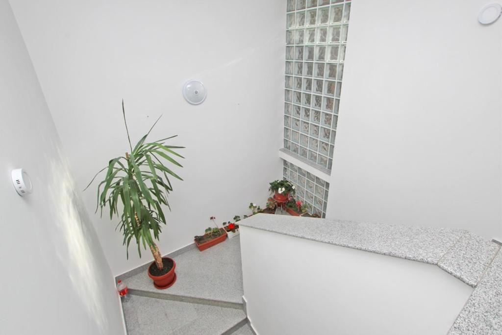 Imas Apartment Sarajevo Exterior foto